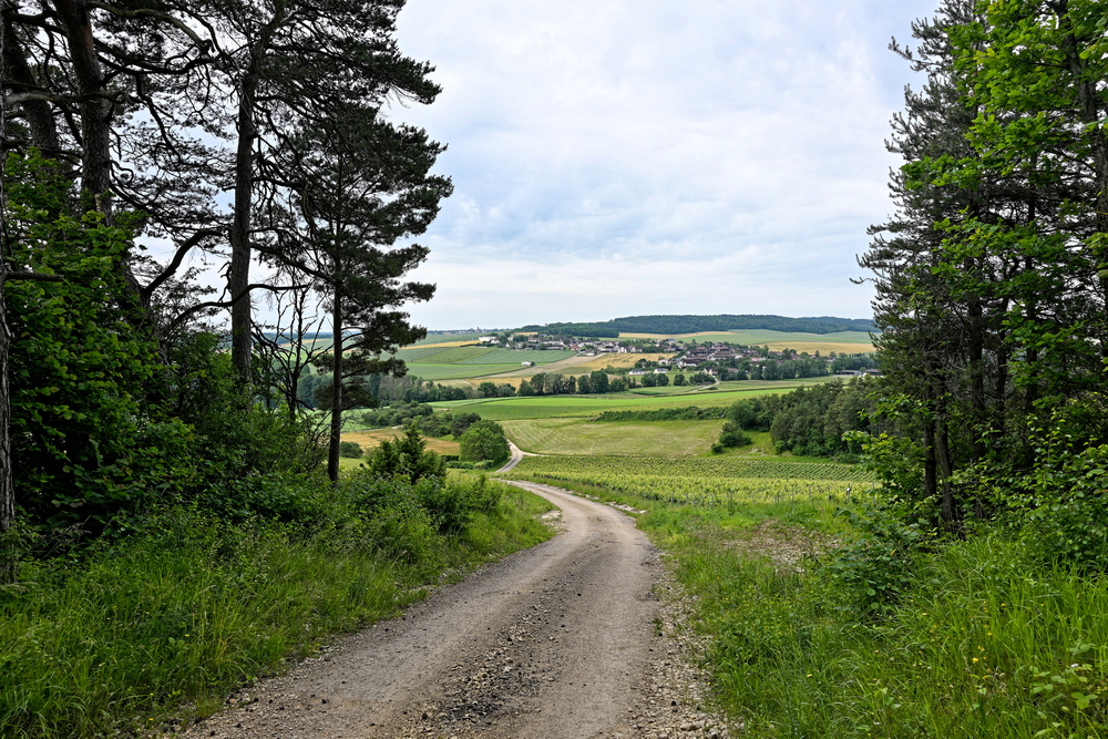 0 Gerard 2 Bragelogne au bout du chemin